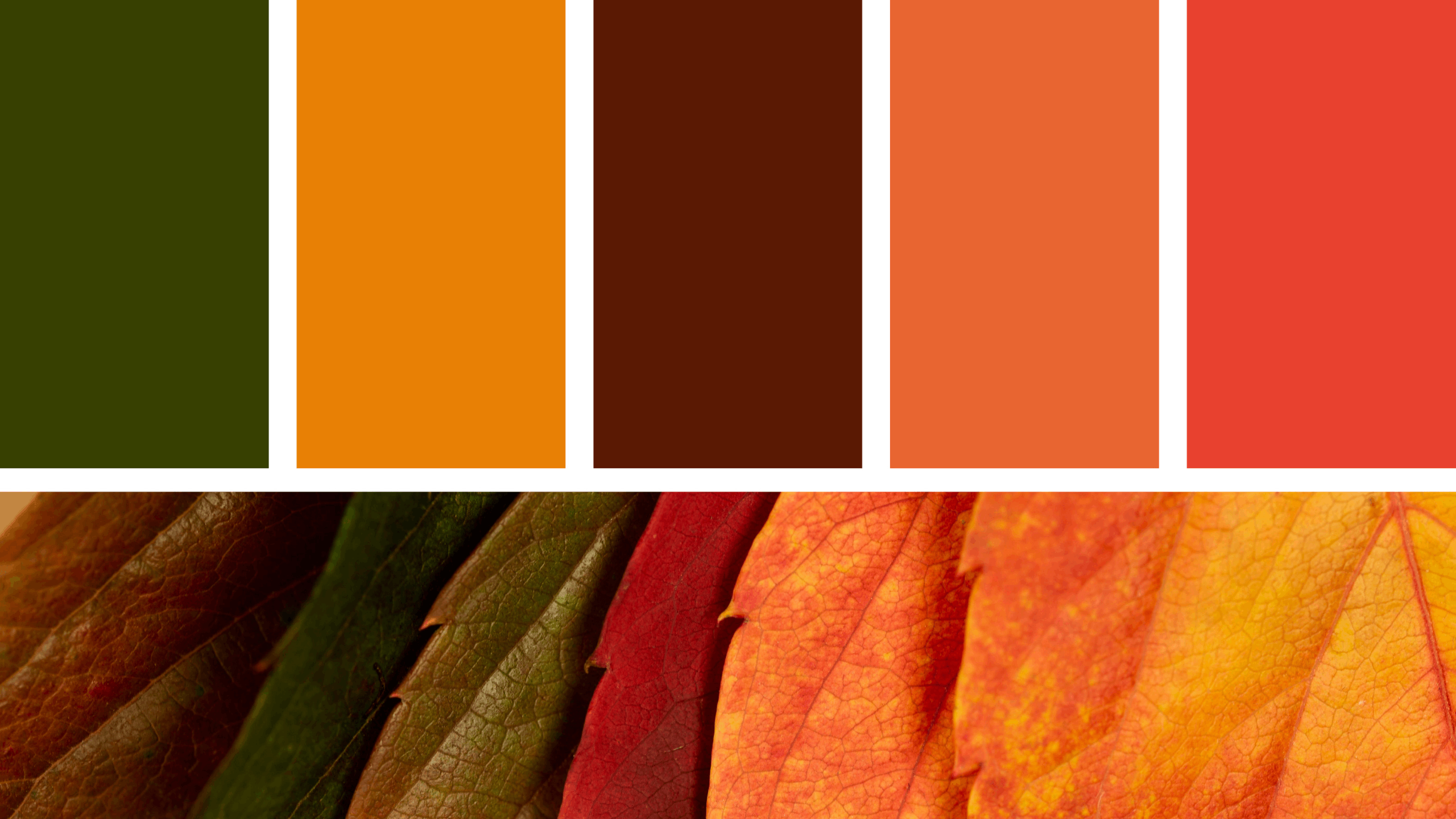 A Paleta de Cores do Outono